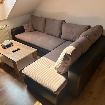 Apartmany U Kubiku Hradec Kralove Bagian luar foto